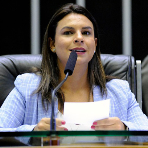Deputado MARIANA CARVALHO